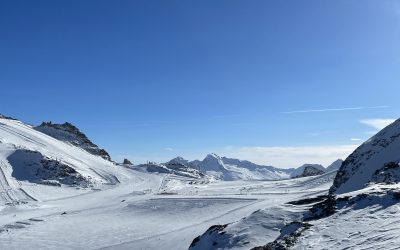 Nachbericht – Christbaumversteigerung